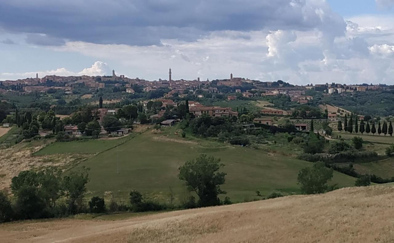 דירות Ponte a Tressa La Casa Nel Poggio 247 Vicino A Siena מראה חיצוני תמונה
